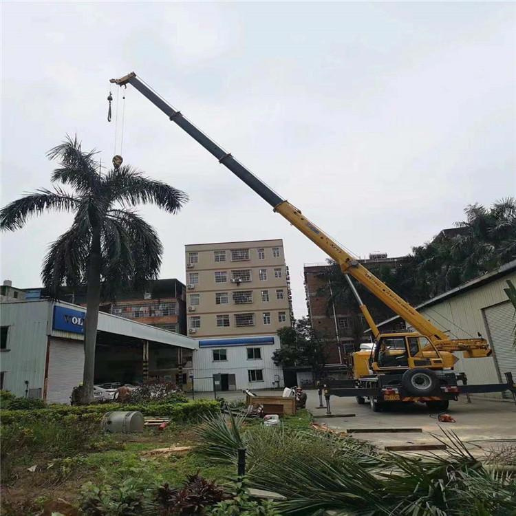 九龙汽车吊出租多少钱？全面解析与市场行情